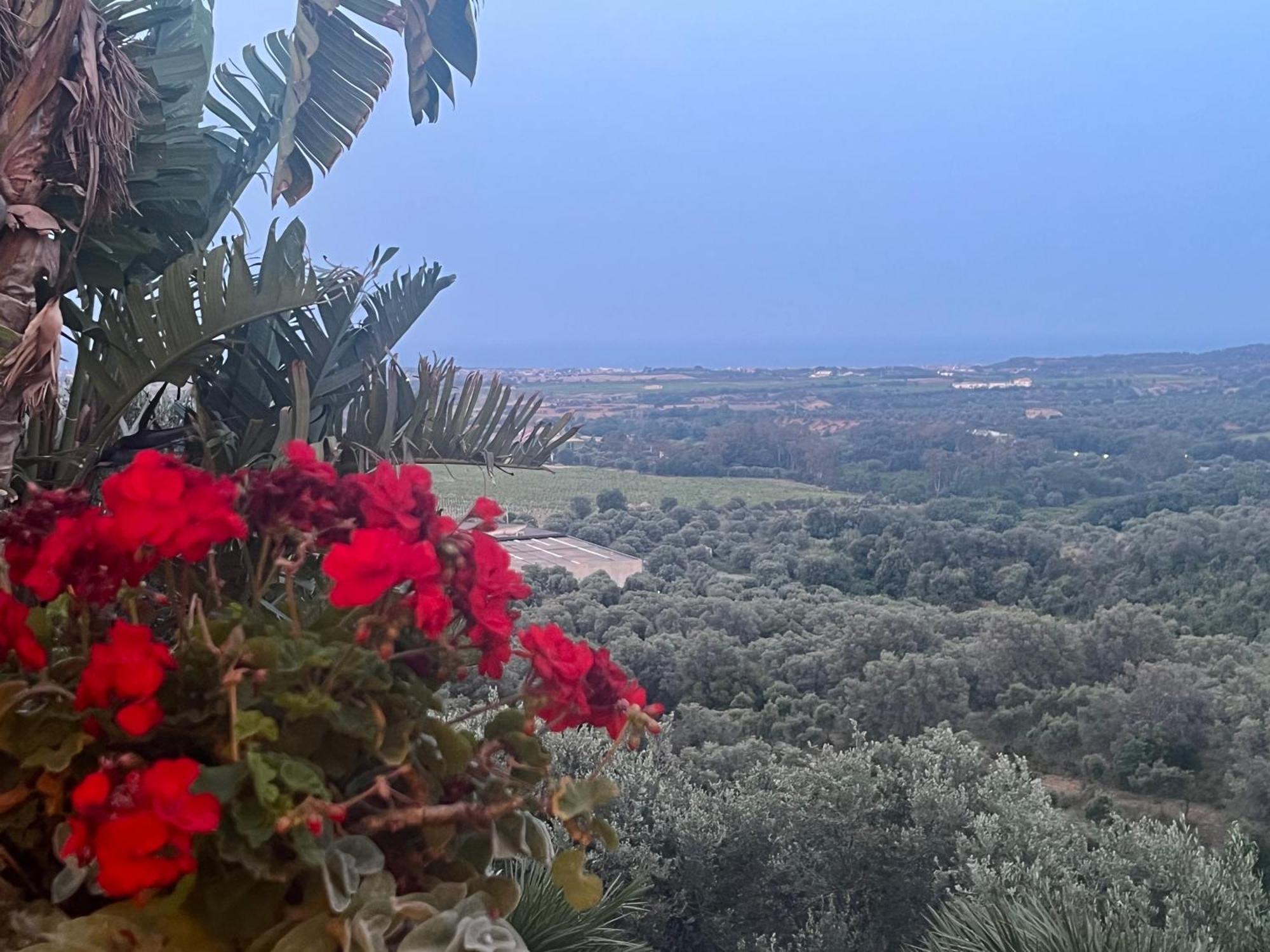Agriturismo Catena Ciro Εξωτερικό φωτογραφία